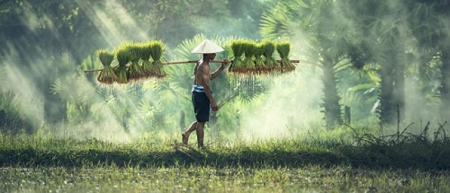 Laos